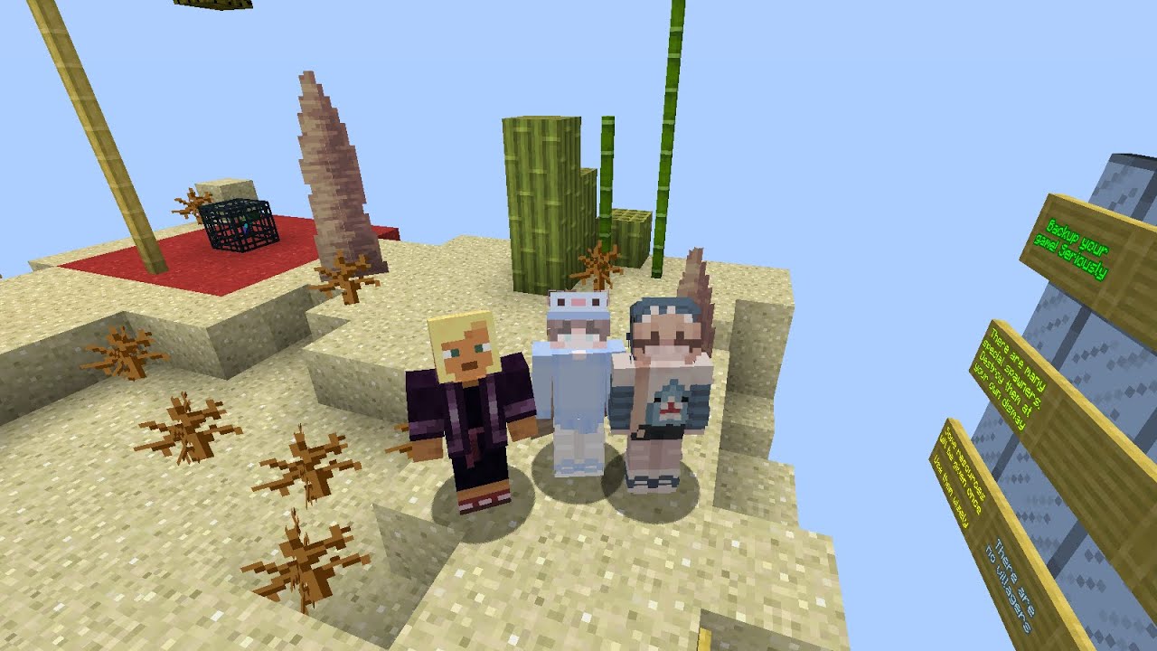 minecraft  survival chunk #1