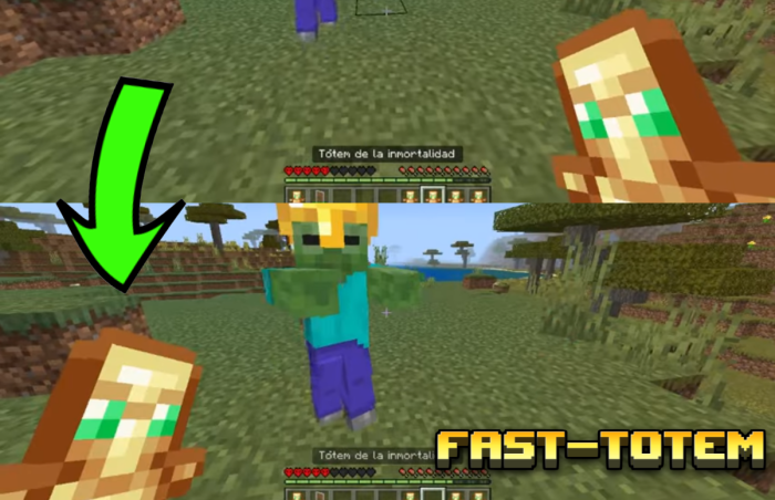 Bedrock Fast Totem Add-on - Aadhu.com