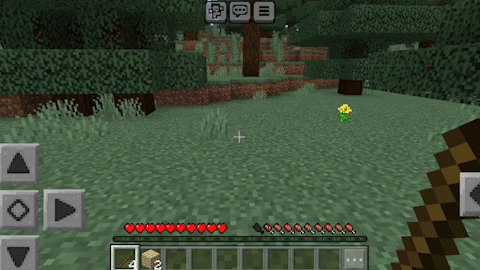 Bedrock more camera perspectives