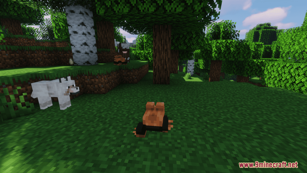 Frog Suit Resource Pack (1.20.4, 1.19.4) – Texture Pack - Aadhu.com