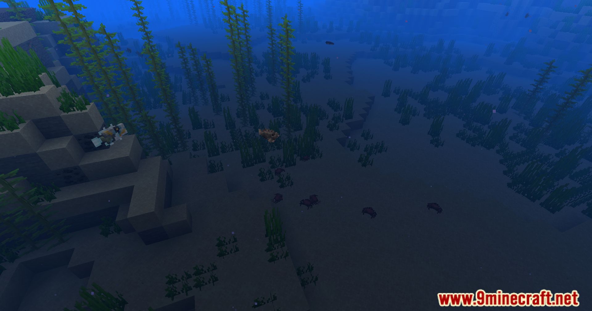 Hybrid Aquatic Mod (1.20.4, 1.19.4) – From Swamps To Sea Caves 89 1713468928 114 hybrid aquatic mod 1204 1194 – from swamps to sea