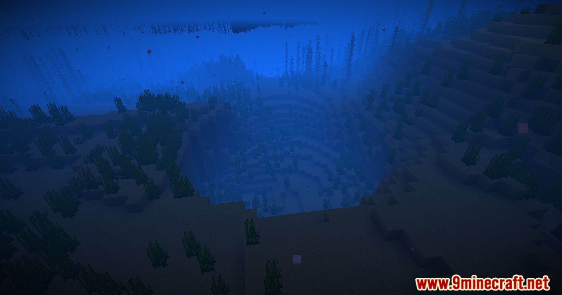 Hybrid Aquatic Mod (1.20.4, 1.19.4) – From Swamps To Sea Caves 81 1713468928 295 hybrid aquatic mod 1204 1194 – from swamps to sea