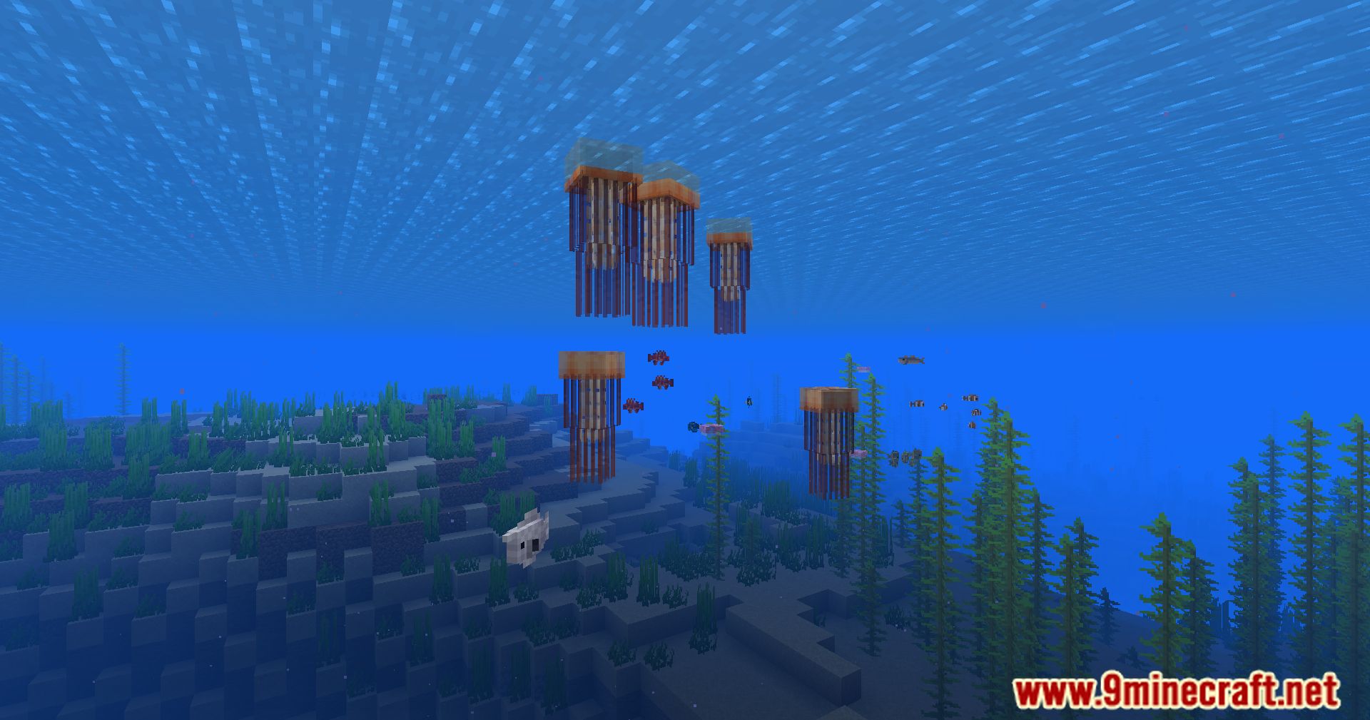 Hybrid Aquatic Mod (1.20.4, 1.19.4) – From Swamps To Sea Caves 85 1713468928 411 hybrid aquatic mod 1204 1194 – from swamps to sea