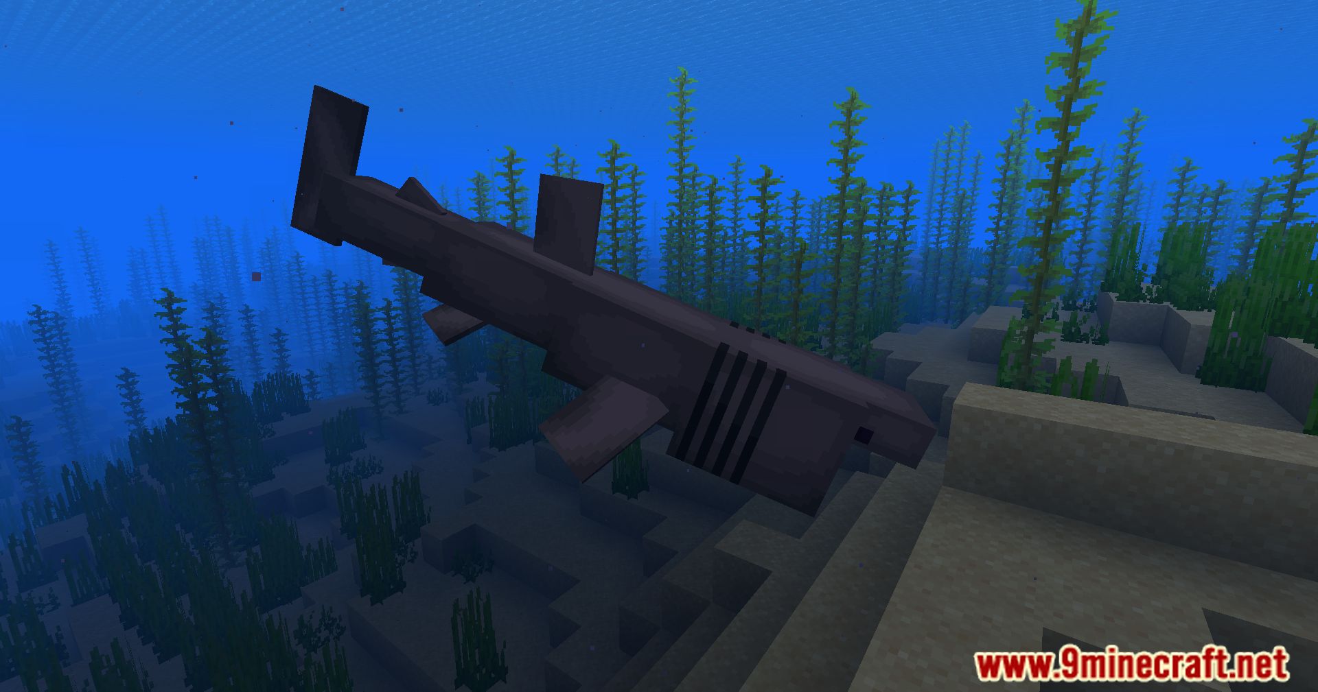 Hybrid Aquatic Mod (1.20.4, 1.19.4) – From Swamps To Sea Caves 87 1713468928 902 hybrid aquatic mod 1204 1194 – from swamps to sea