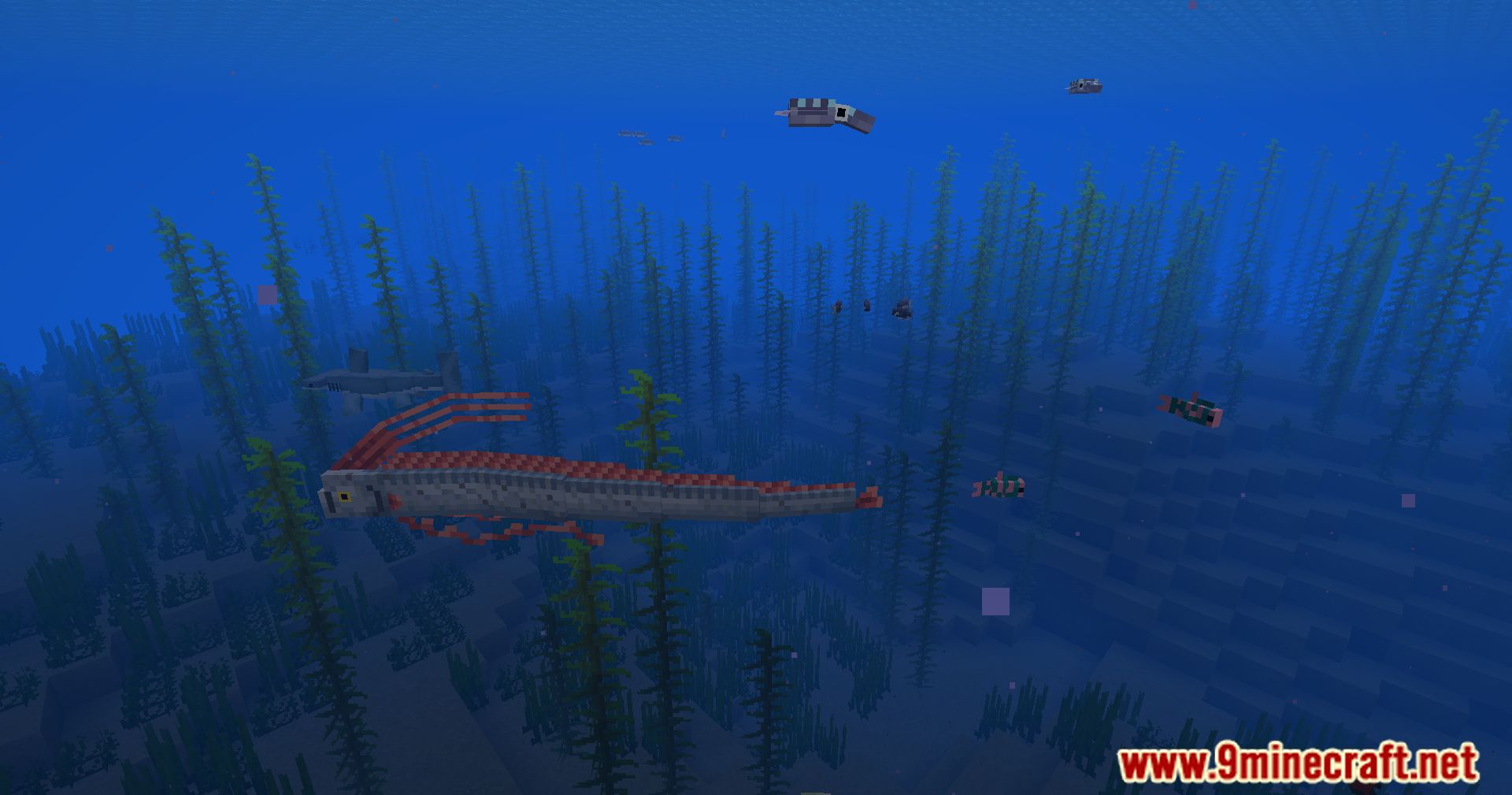 Hybrid Aquatic Mod (1.20.4, 1.19.4) – From Swamps To Sea Caves 77 1713468928 927 hybrid aquatic mod 1204 1194 – from swamps to sea