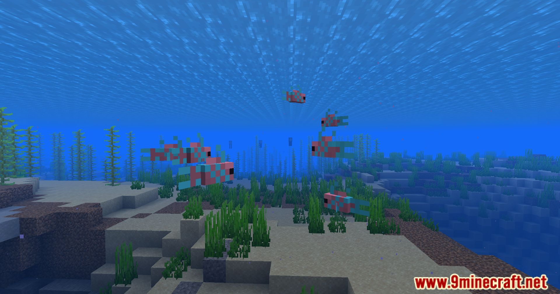 Hybrid Aquatic Mod (1.20.4, 1.19.4) – From Swamps To Sea Caves 83 1713468928 945 hybrid aquatic mod 1204 1194 – from swamps to sea