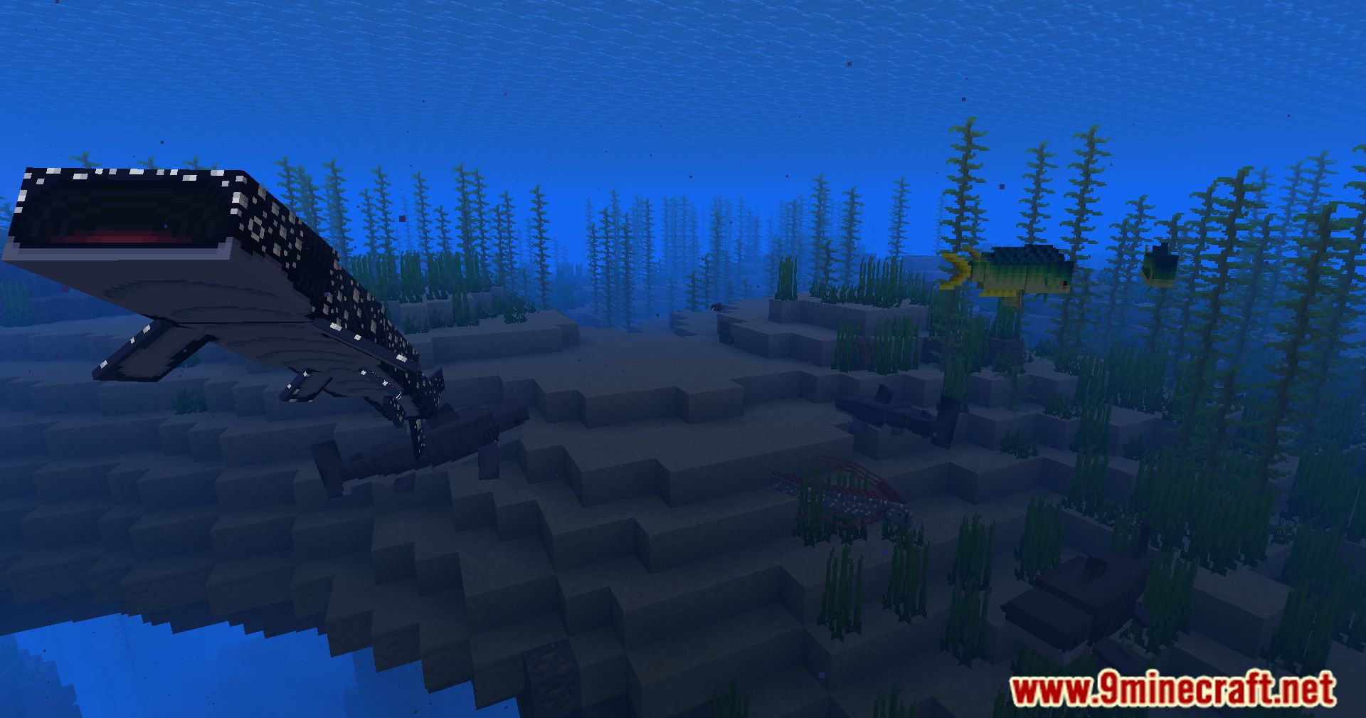 Hybrid Aquatic Mod (1.20.4, 1.19.4) – From Swamps To Sea Caves 99 1713468929 213 hybrid aquatic mod 1204 1194 – from swamps to sea