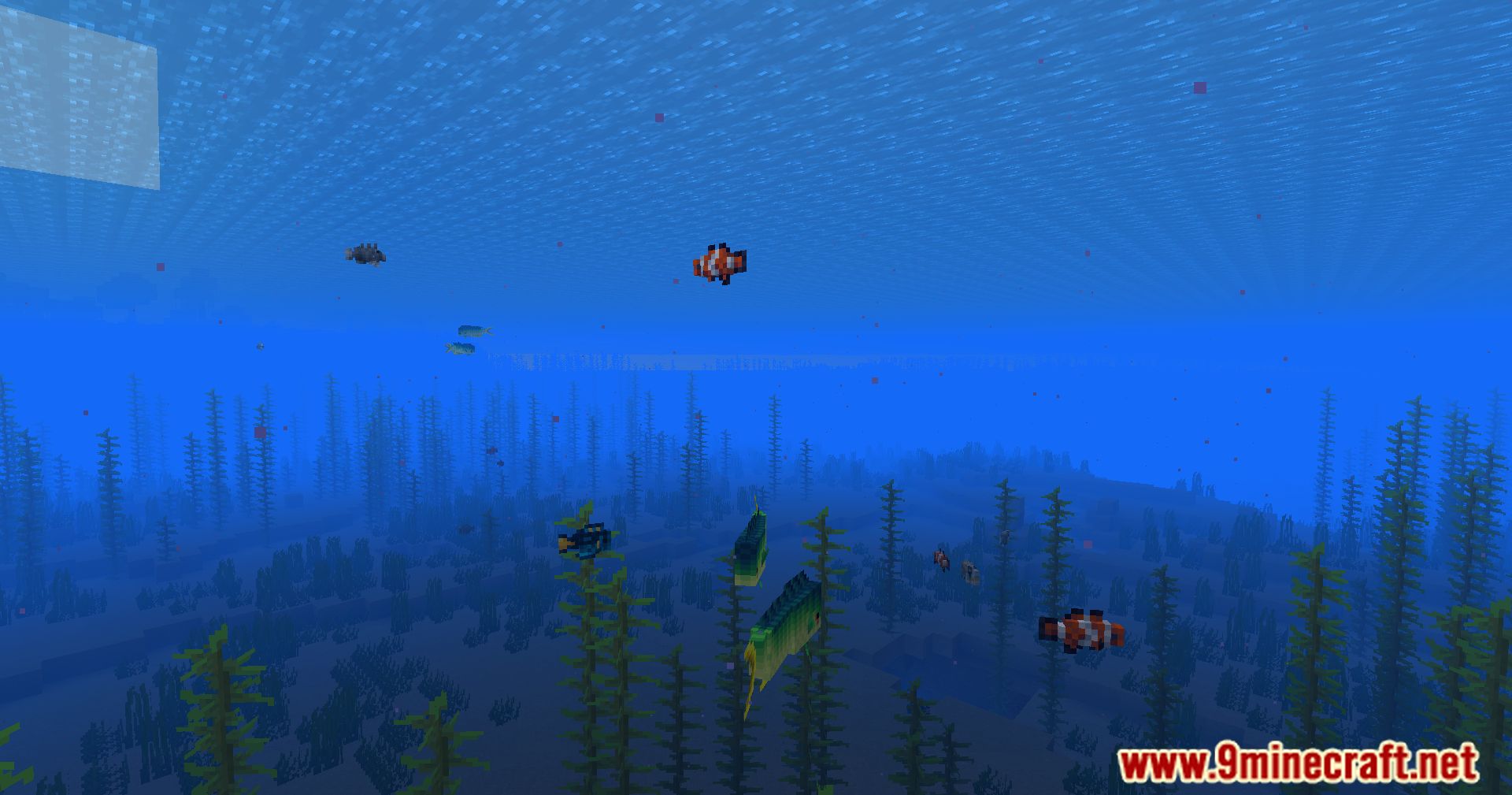 Hybrid Aquatic Mod (1.20.4, 1.19.4) – From Swamps To Sea Caves 95 1713468929 468 hybrid aquatic mod 1204 1194 – from swamps to sea