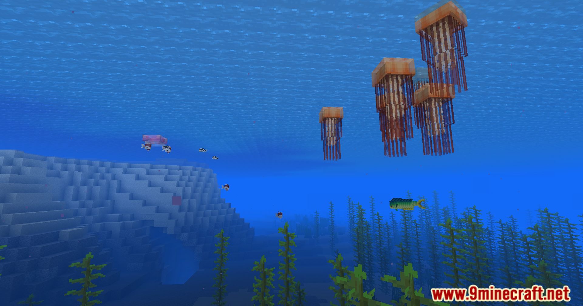 Hybrid Aquatic Mod (1.20.4, 1.19.4) – From Swamps To Sea Caves 91 1713468929 542 hybrid aquatic mod 1204 1194 – from swamps to sea