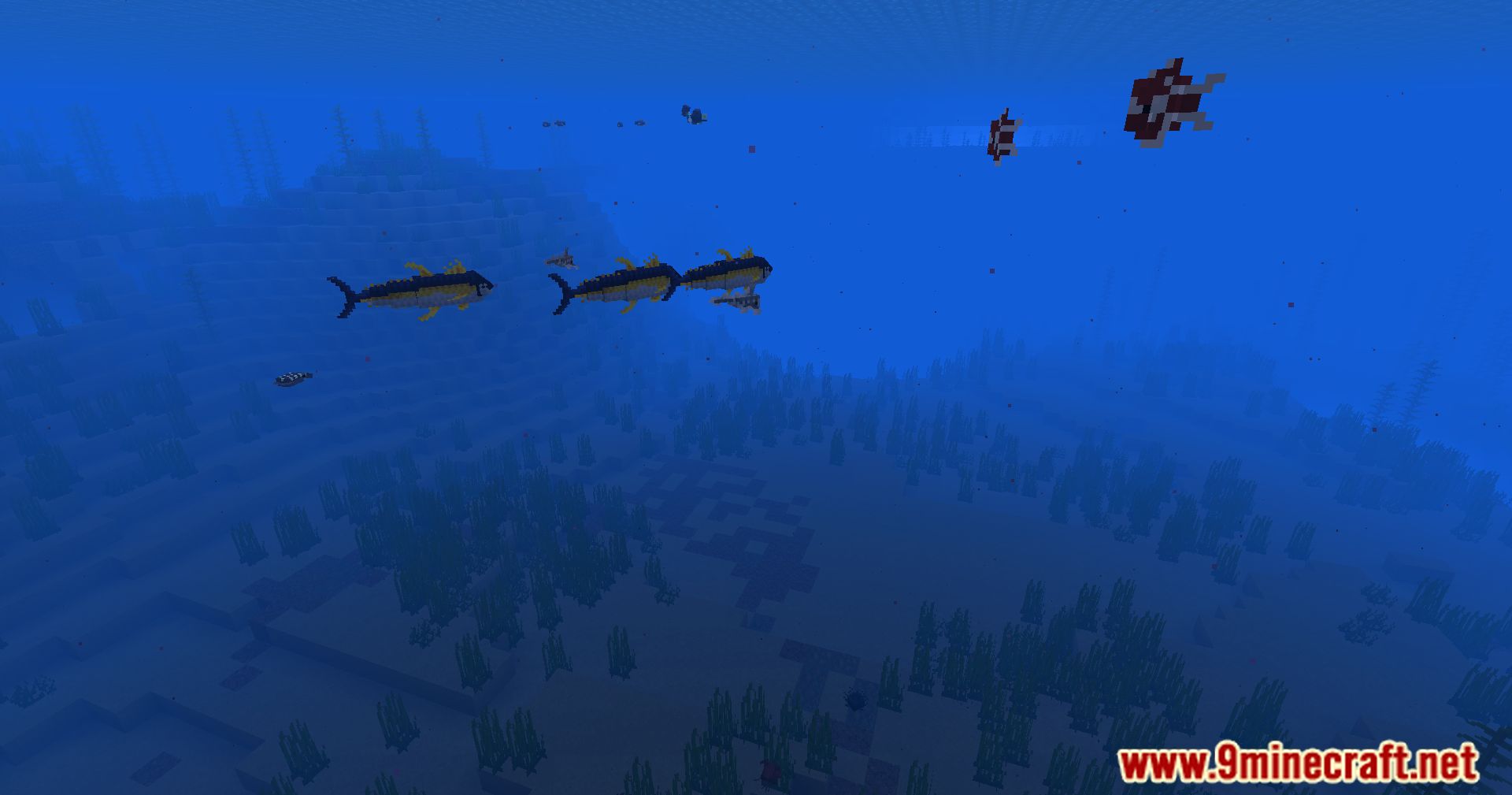 Hybrid Aquatic Mod (1.20.4, 1.19.4) – From Swamps To Sea Caves 97 1713468929 972 hybrid aquatic mod 1204 1194 – from swamps to sea
