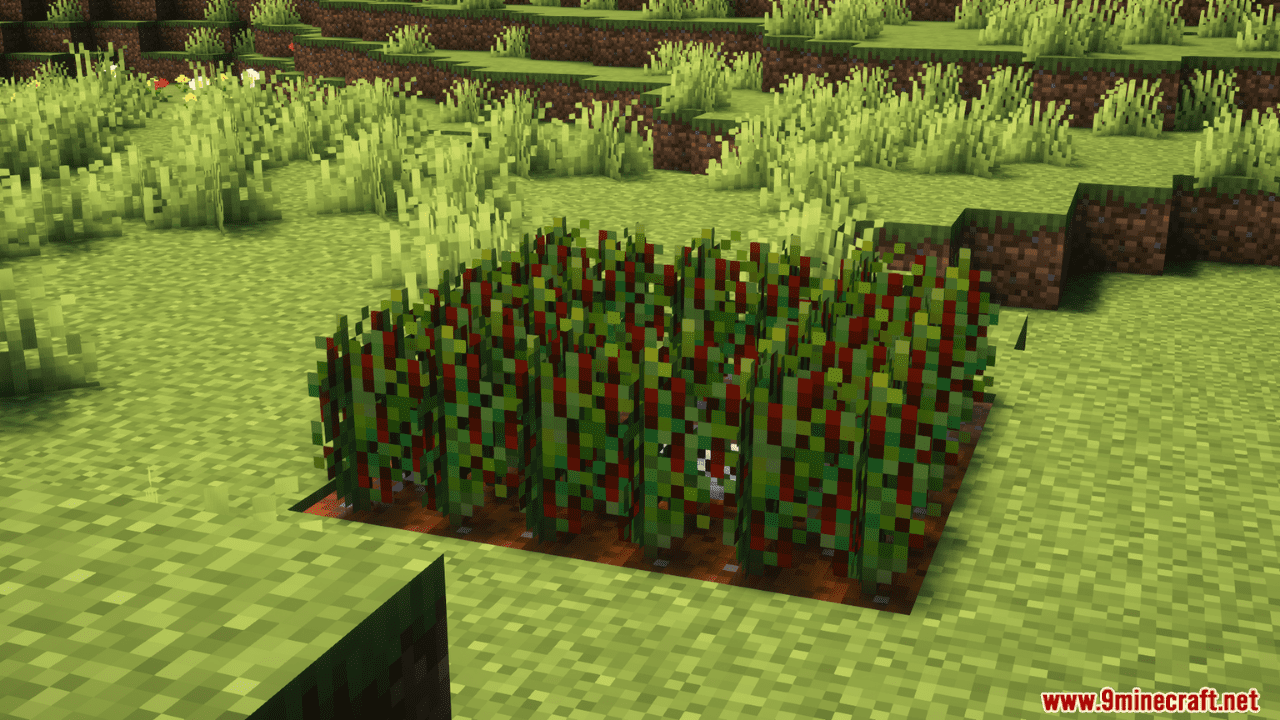 1713498462 323 chili bullet weapons mod 1204 1201 – chili peppers