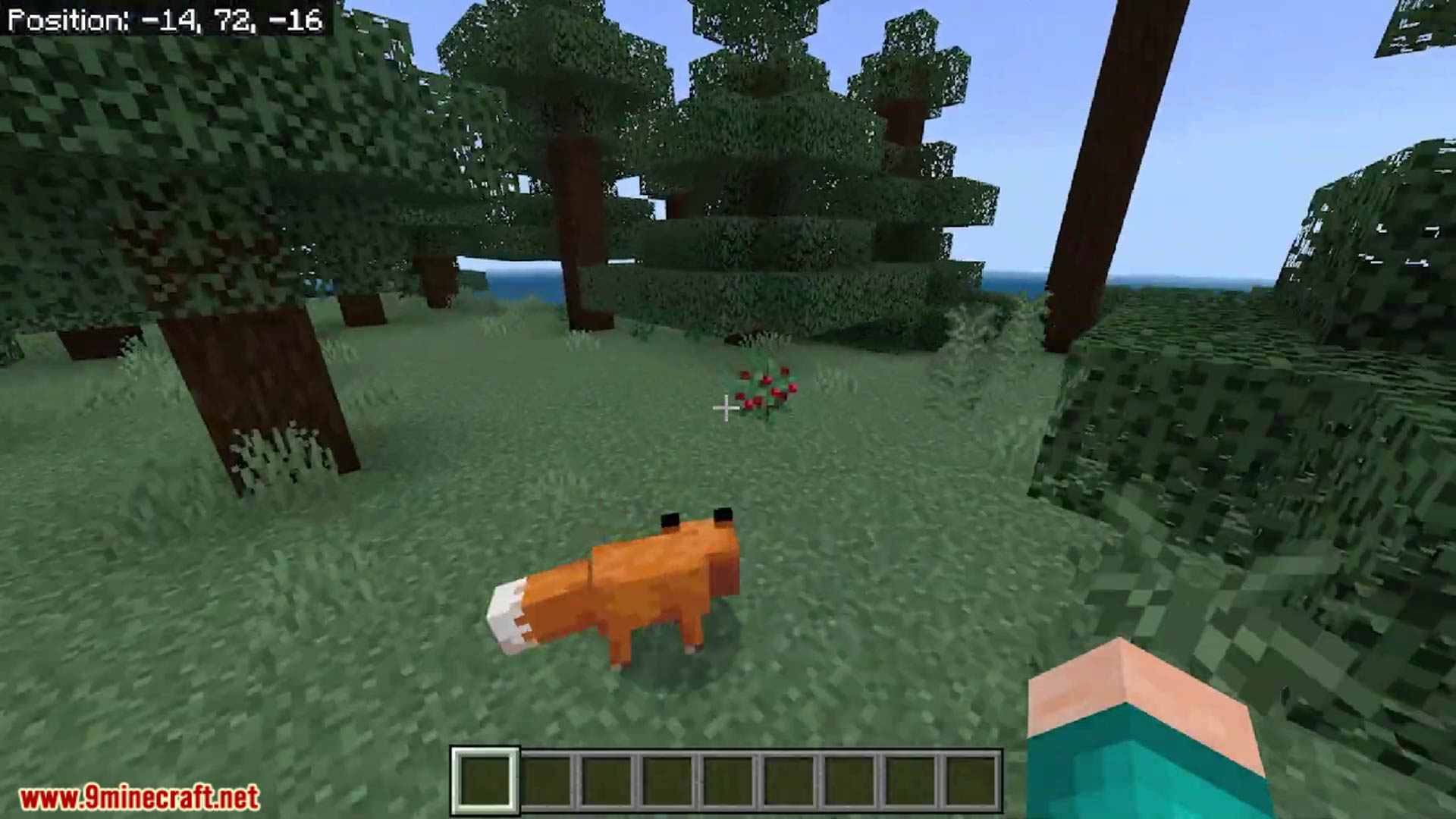 Top 10 Must Try Survival Island Seeds For Minecraft Adventures (1.21.1, 1.21) - Bedrock Edition 142 1728658028 603 top 10 must try survival island seeds for minecraft adventures