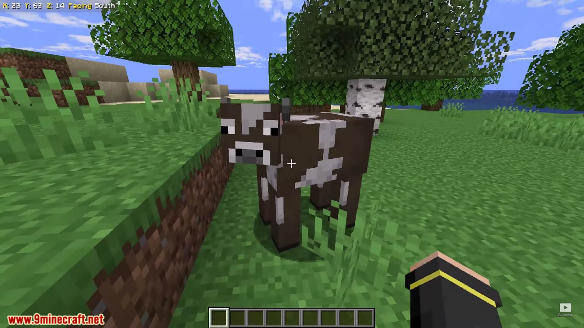5 Wonderful Survival Seeds For Minecraft (1.21.1, 1.21) - Java Edition 59 1728665323 984 5 wonderful survival seeds for minecraft 1211 121 java