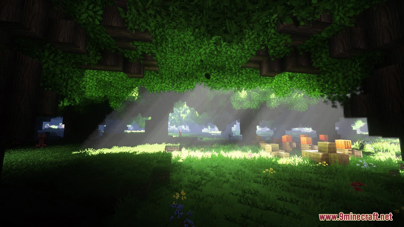 Continuum Shaders Mod (1.21.1, 1.20.1) - Realistic Textures, Ultra ...