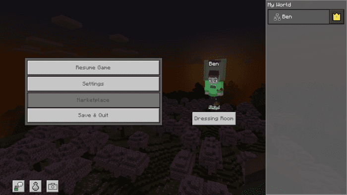 1729431333 800 screenshot taker texture pack 121 120 no behavior pack