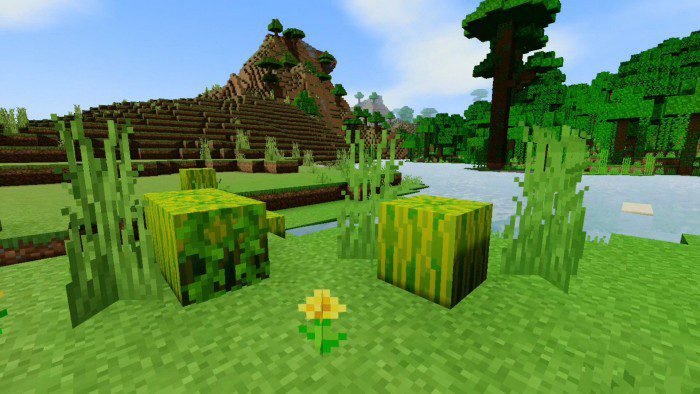 Sharp Shader (1.19) - Mobile/Pc/Low-End Devices 47 1729467915 608 sharp shader 119 mobilepclow end devices