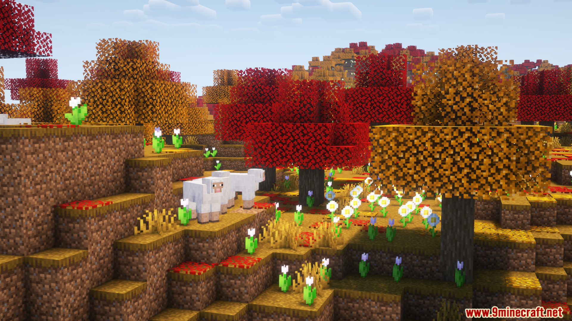 Maple Mod (1.21.1, 1.20.1) - Grove Cherry And Maple Forest Biomes ...