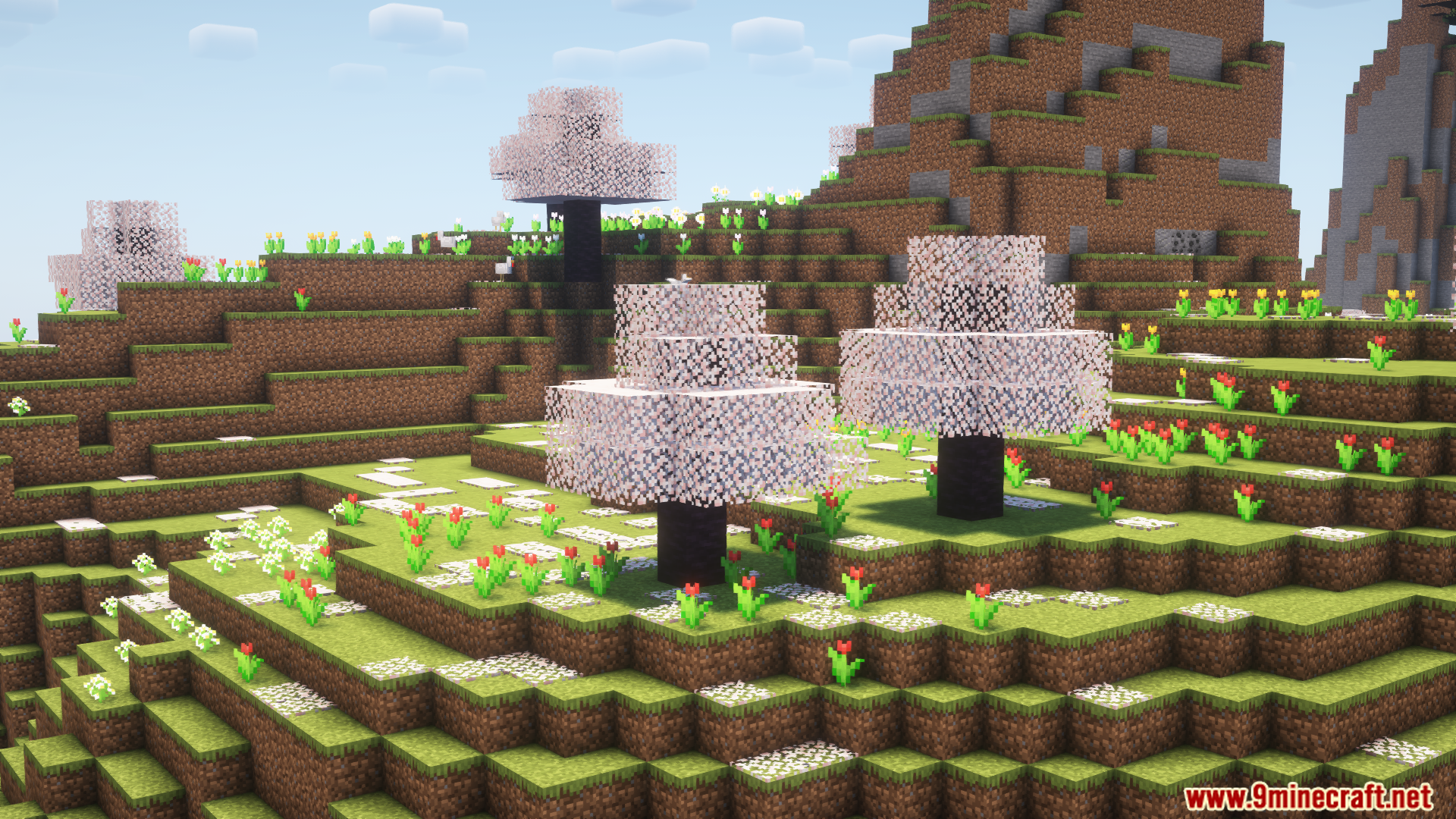 Maple Mod (1.21.1, 1.20.1) - Grove Cherry And Maple Forest Biomes ...