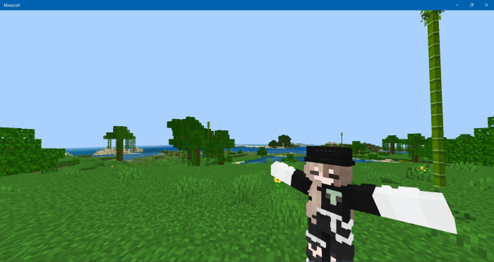 1729847328 638 superior 3d player texture pack 121 120 mcpebedrock