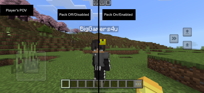 1729847330 177 superior 3d player texture pack 121 120 mcpebedrock