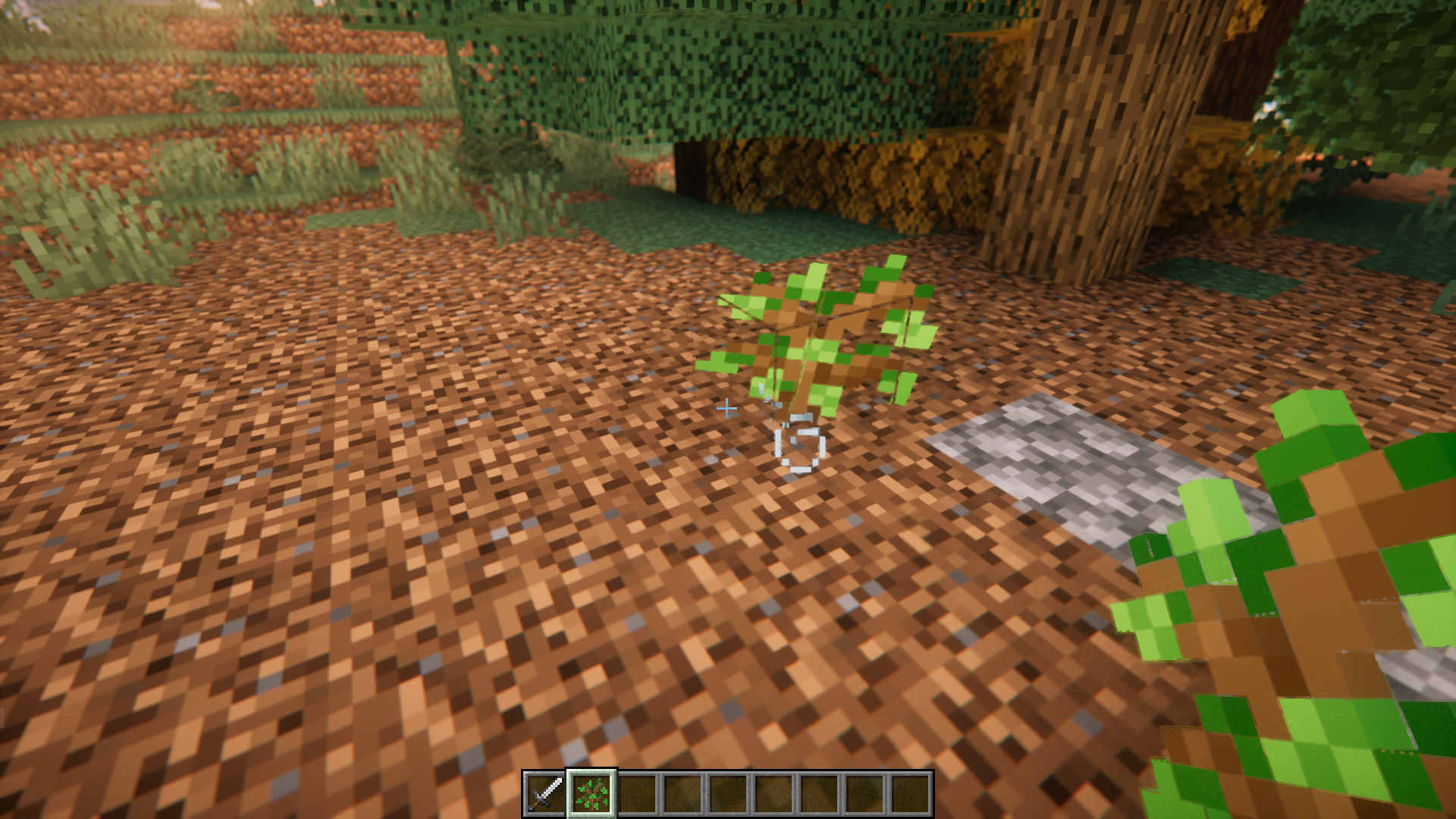 Custom Biome Saplings Mod (1.21.3, 1.20.1) - Renewable Modded Trees ...