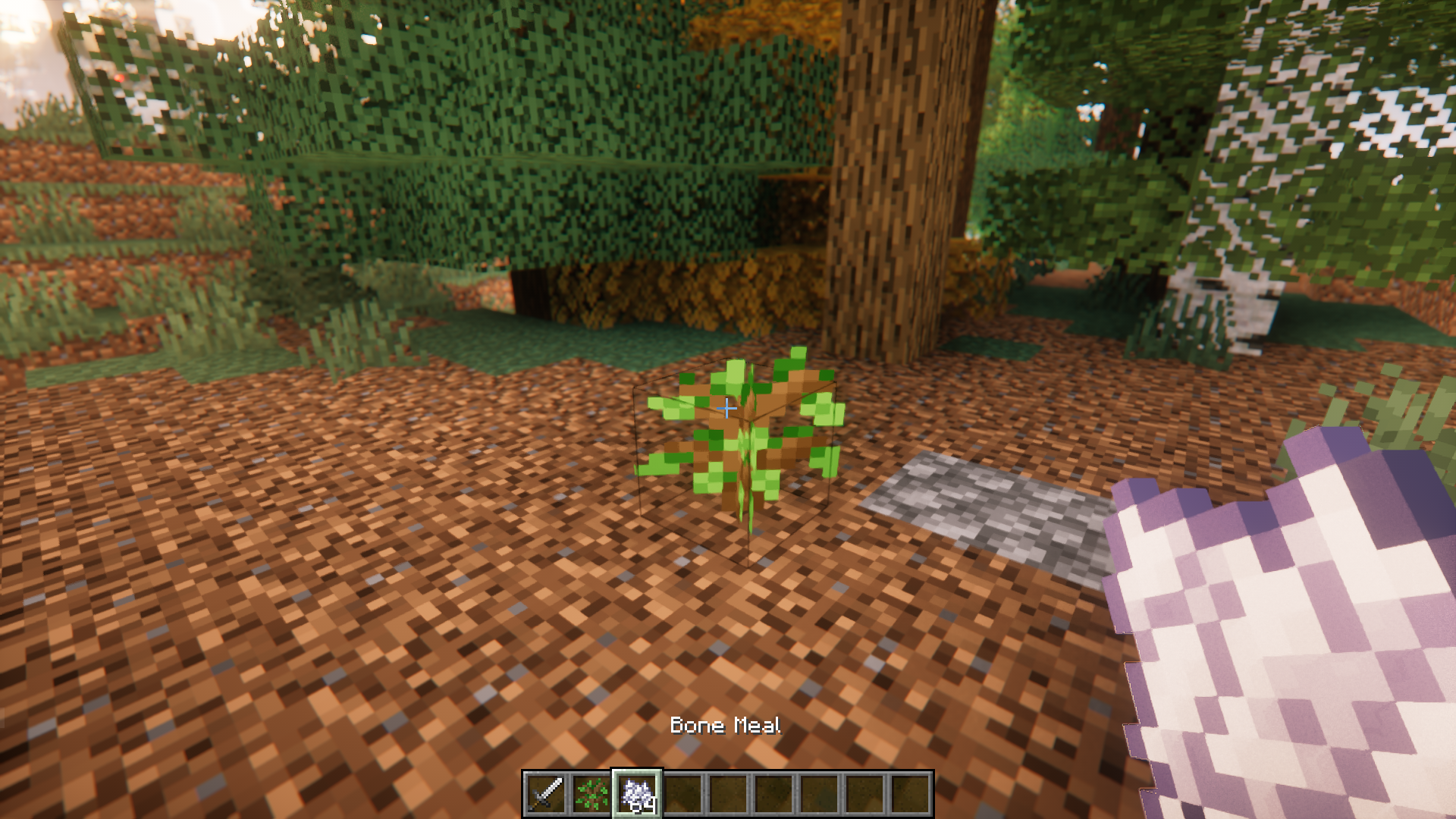 1731068342 350 custom biome saplings mod 1213 1201 renewable modded trees