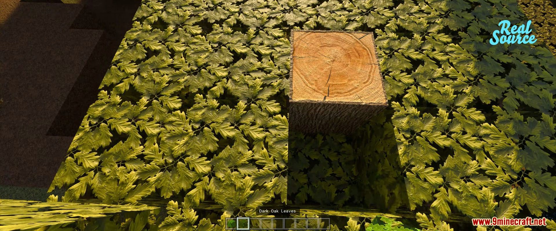 Realsource Realistic Rtx Texture Pack (1.19, 1.18) For Mcpe/Bedrock Edition 136 1731078222 674 realsource realistic rtx texture pack 119 118 for mcpebedrock edition