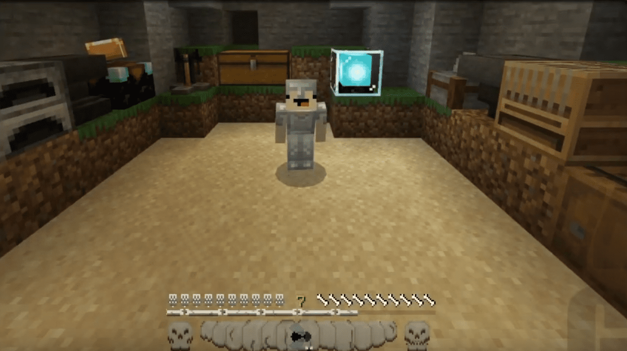 Skull And Bones Texture Pack (1.20, 1.19) - MCPE/Bedrock - Aadhu.com