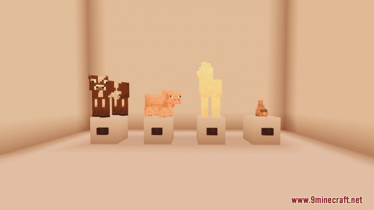 1733052432 799 one of these things does not belong map 1214 1201