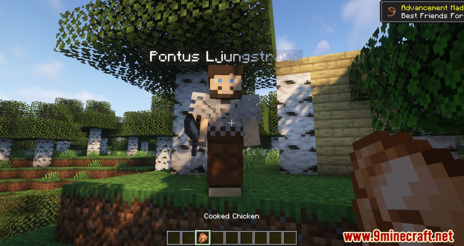Human Companions Mod (1.20.1, 1.19.2) - No Longer A Lonely Adventure 73 1733079513 954 human companions mod 1201 1192 no longer a lonely