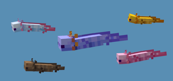 Better Axolotls Texture Pack (1.19) - Mcpe/Bedrock 36 1733111306 341 better axolotls texture pack 119 mcpebedrock