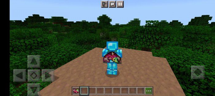 Item On Back Texture Pack (1.19) - MCPE/Bedrock Back Tools - Aadhu.com