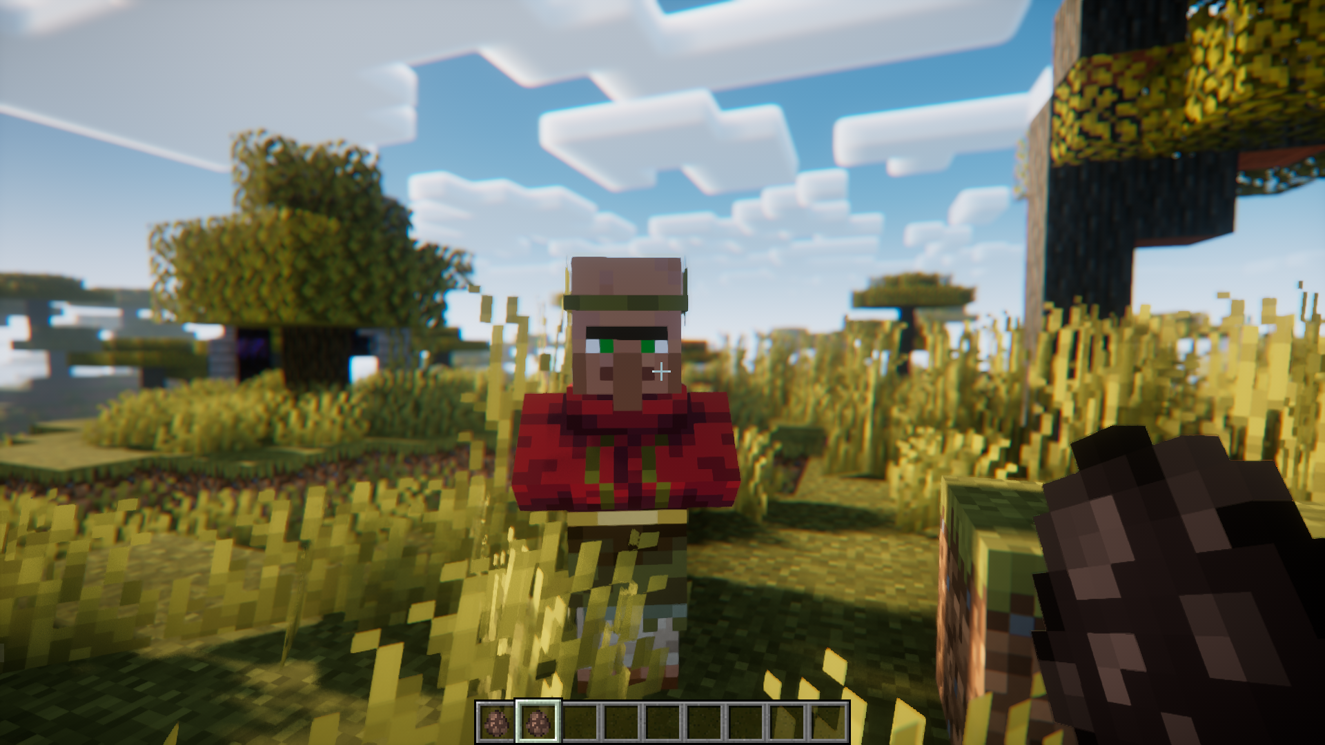 Villager Pickup Mod (1.21.4, 1.20.1) - Pick Up &Amp; Transport Villagers 47 1735076850 255 villager pickup mod 1214 1201 pick up transport