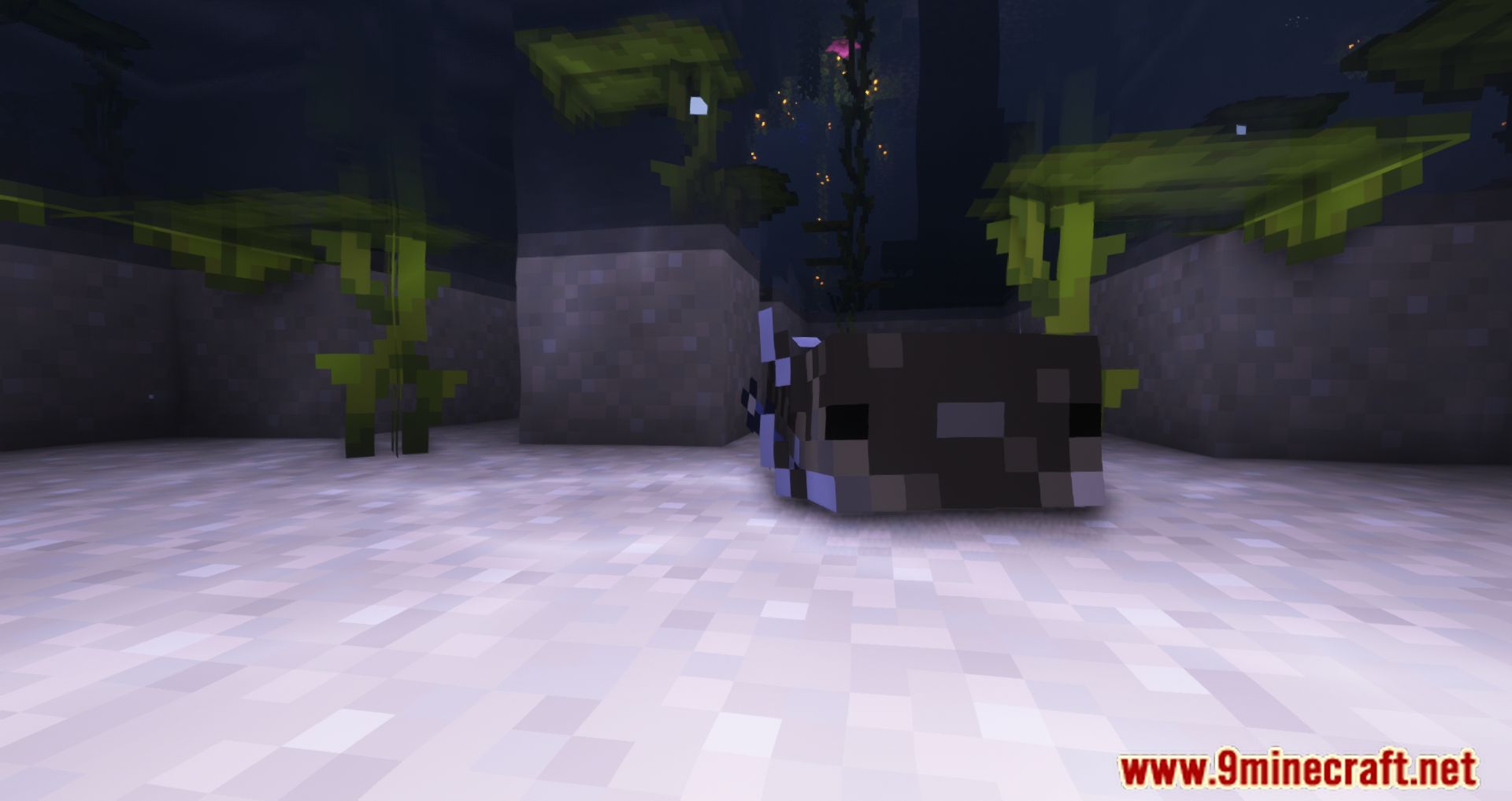 More Axolotl Variants Mod (1.21.4, 1.20.1) - More Adorable Creatures 56 1735222758 215 more axolotl variants mod 1214 1201 more adorable creatures