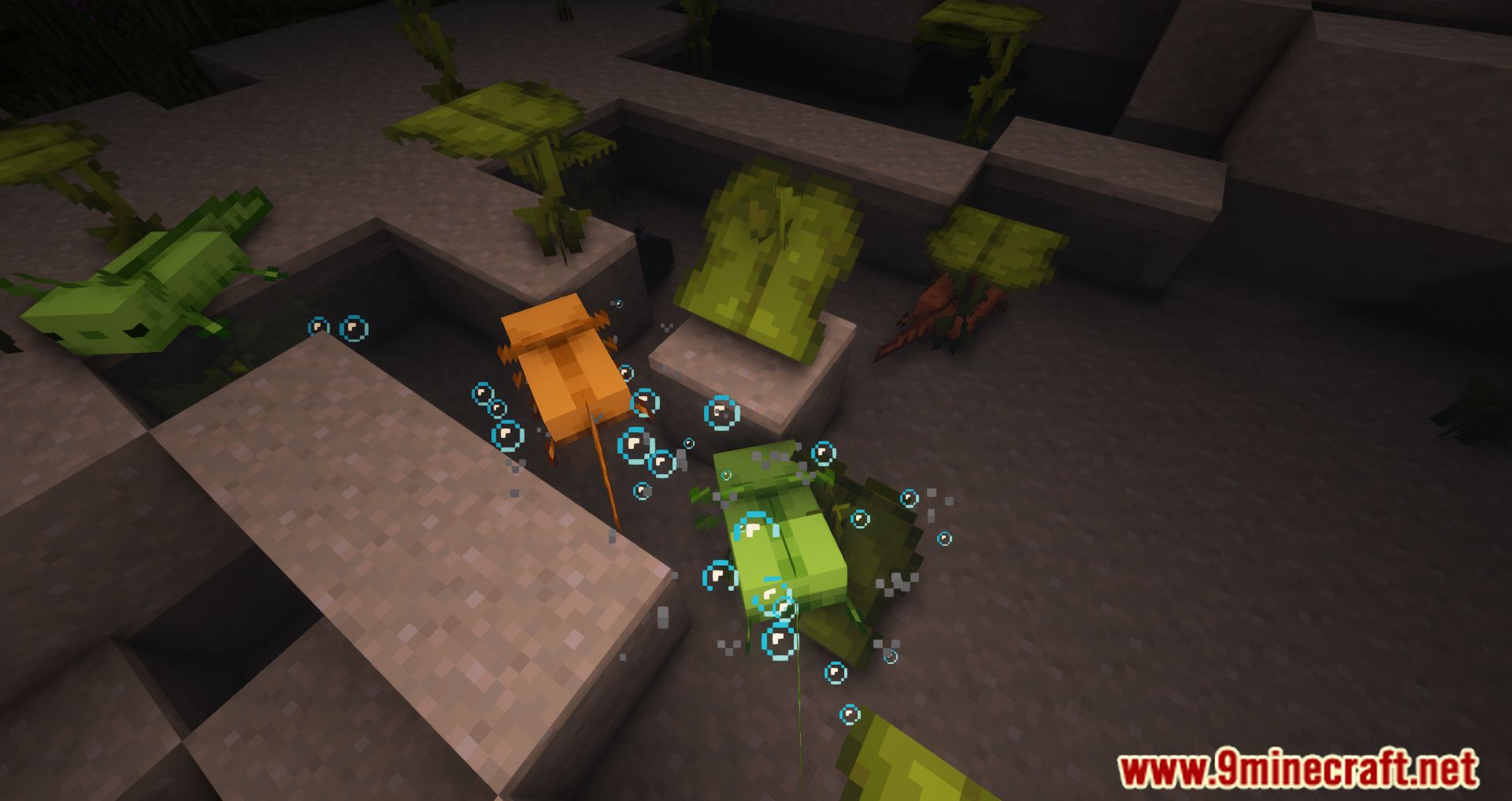 More Axolotl Variants Mod (1.21.4, 1.20.1) - More Adorable Creatures 60 1735222759 672 more axolotl variants mod 1214 1201 more adorable creatures