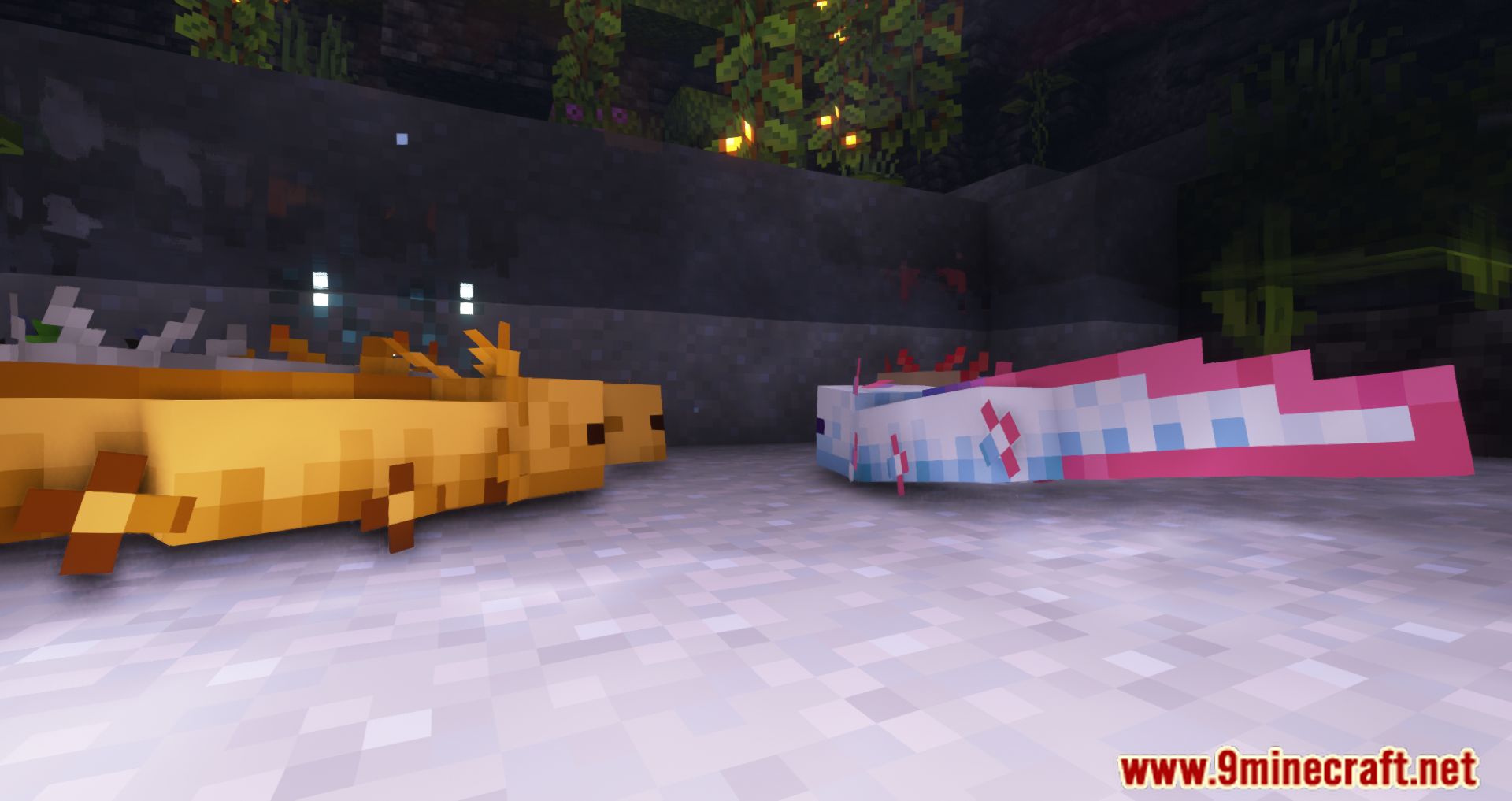 More Axolotl Variants Mod (1.21.4, 1.20.1) - More Adorable Creatures 64 1735222760 569 more axolotl variants mod 1214 1201 more adorable creatures