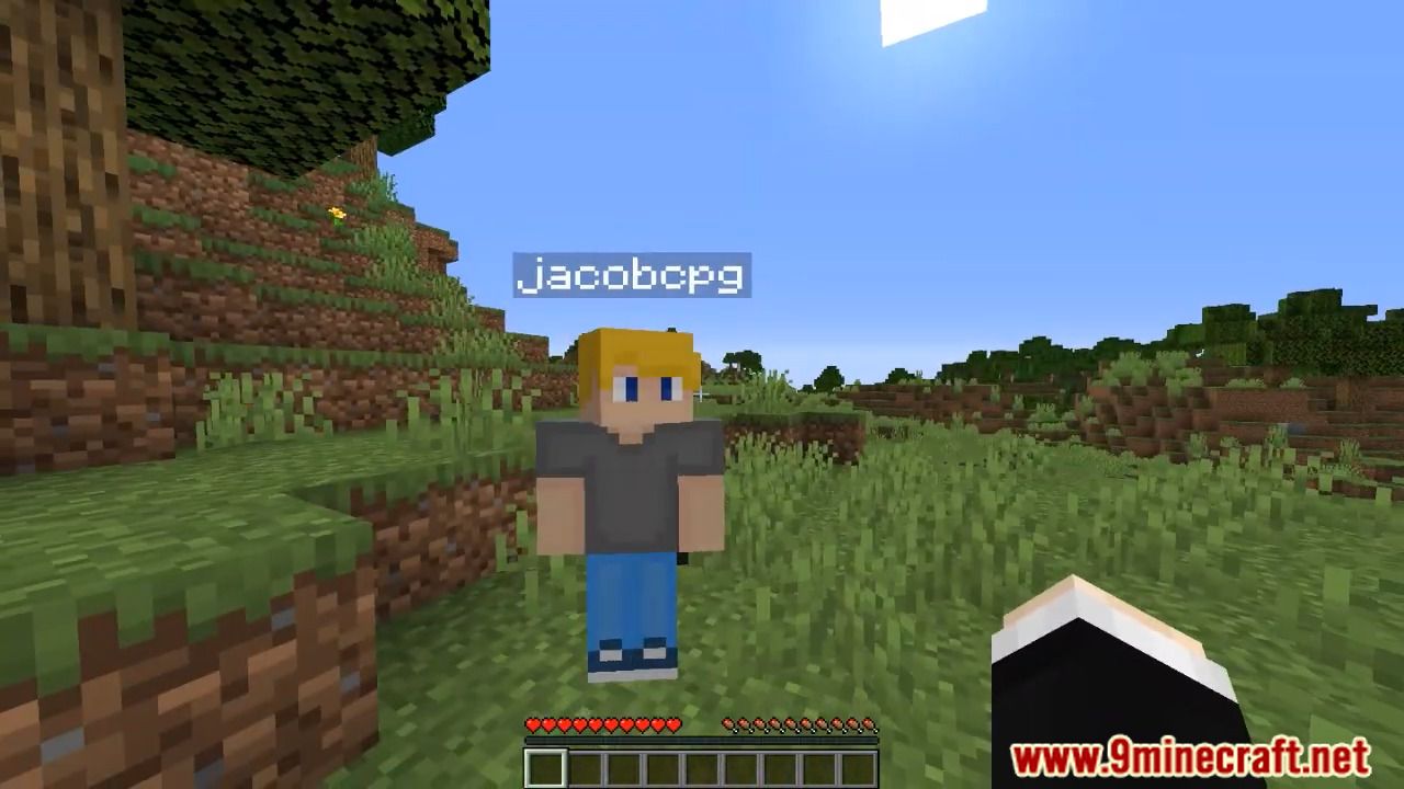 Death Swap Plugin (1.18, 1.16.5) – Spigot 35 1735239033 784 death swap plugin 118 1165 – spigot