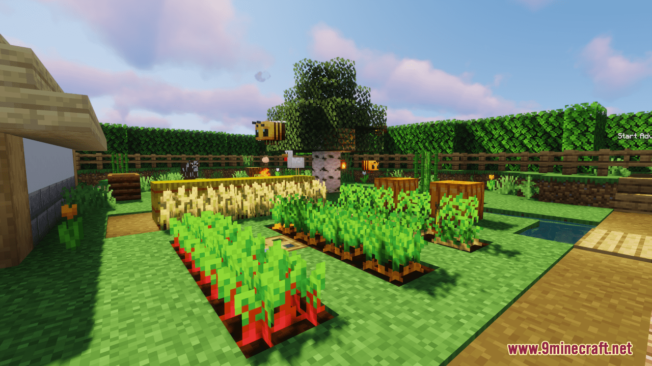1735331580 147 tiny map 1214 1201 thriving at two pixels tall