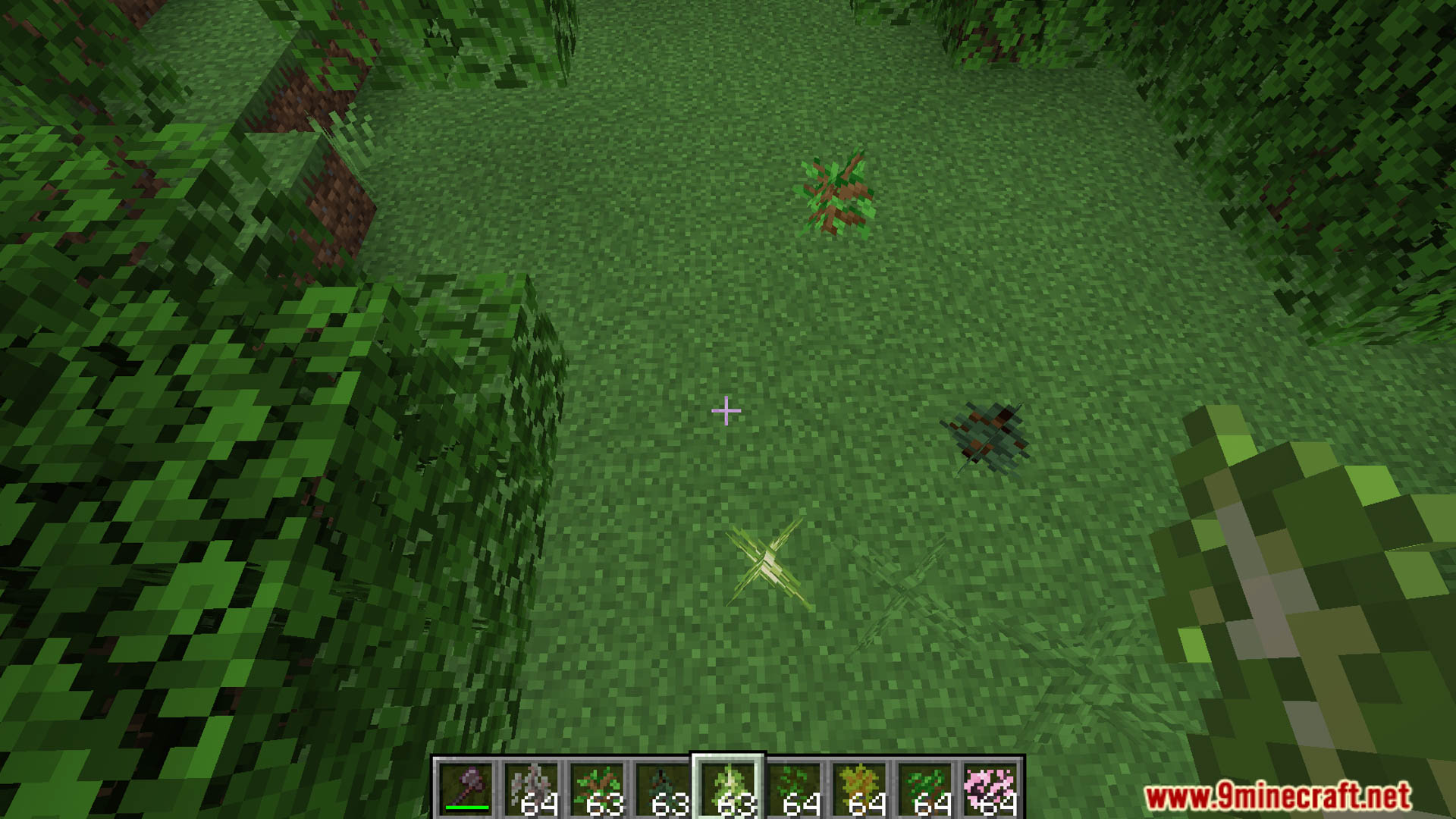 Auto Saplinging Data Pack (1.21.4, 1.21) - Let Nature Take Its Course 65 1735658313 137 auto saplinging data pack 1214 121 let nature take