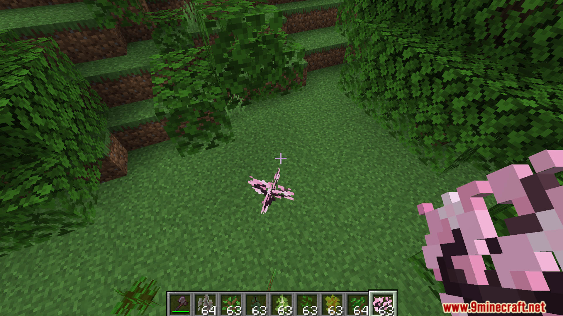 Auto Saplinging Data Pack (1.21.4, 1.21) - Let Nature Take Its Course 77 1735658319 204 auto saplinging data pack 1214 121 let nature take