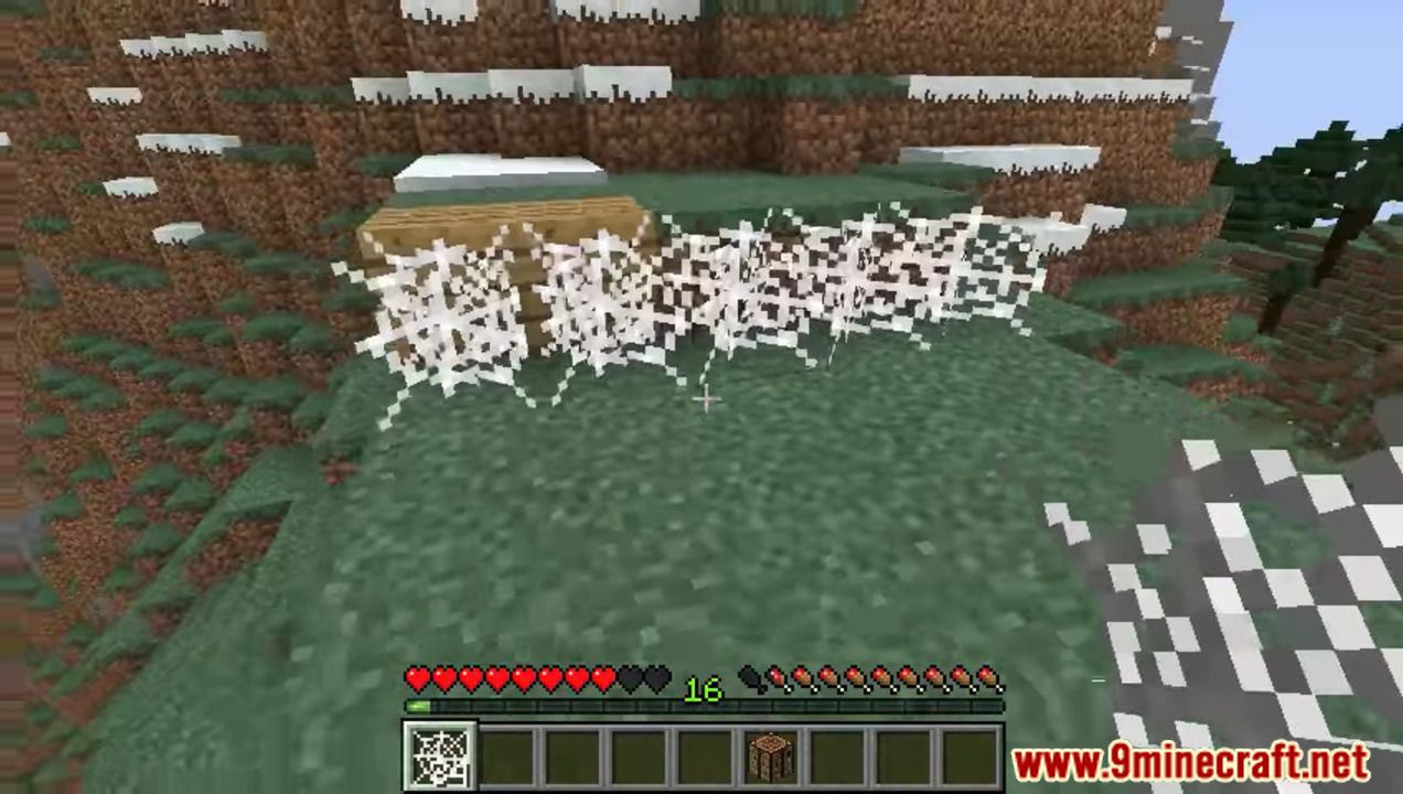 Barbedwire Plugin (1.12.2) – Bukkit, Spigot, Paper 41 1735668790 863 barbedwire plugin 1122 – bukkit spigot paper