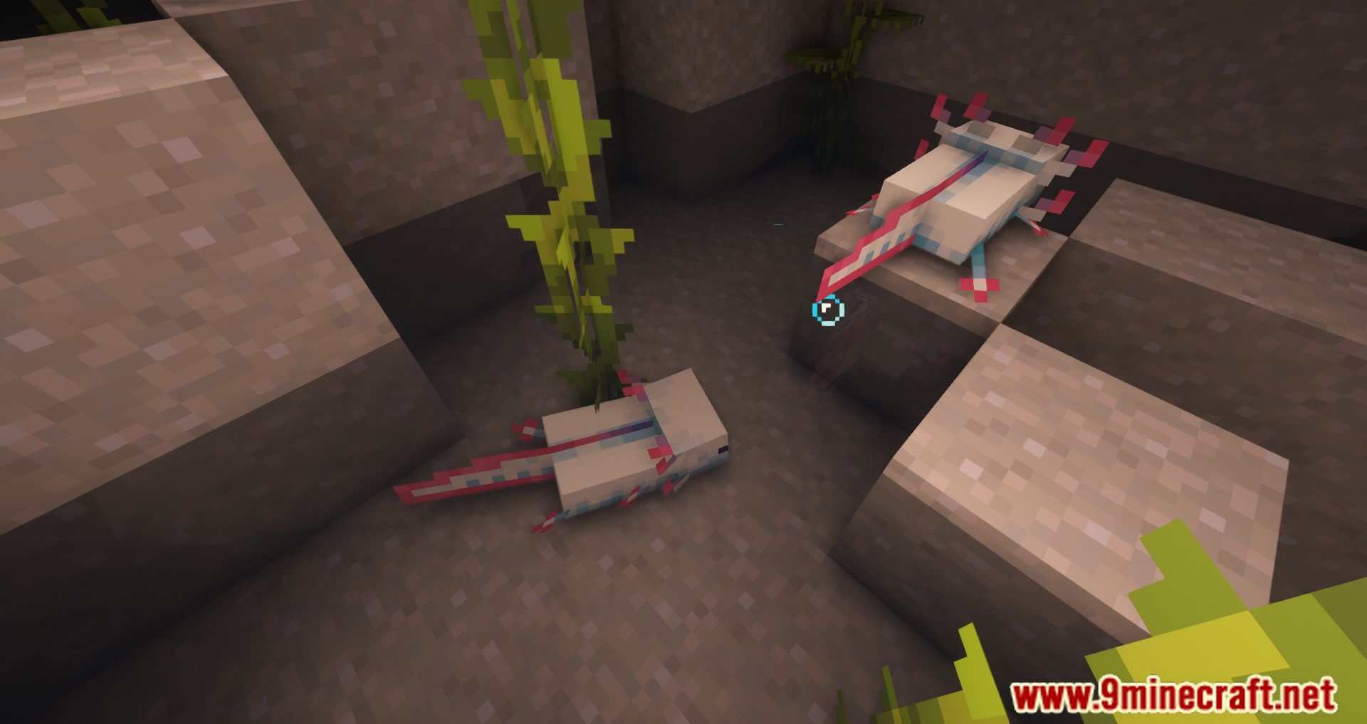More Axolotl Variants Mod (1.21.4, 1.20.1) - More Adorable Creatures 48 More axolotl variants mod 1214 1201 more adorable creatures