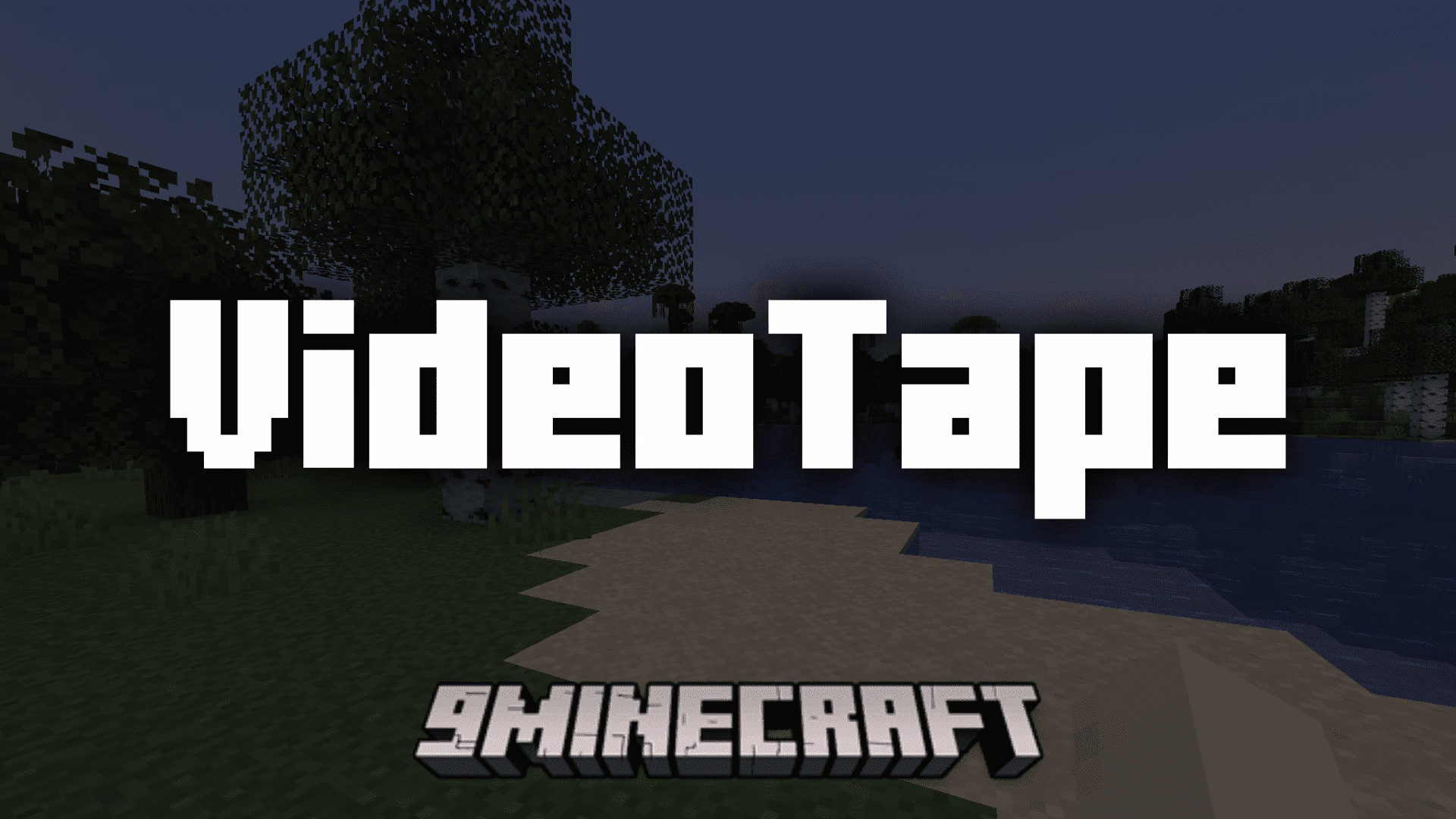 Video tape mod (1. 21. 4, 1. 20. 1) – fixes gpu related memory leaks