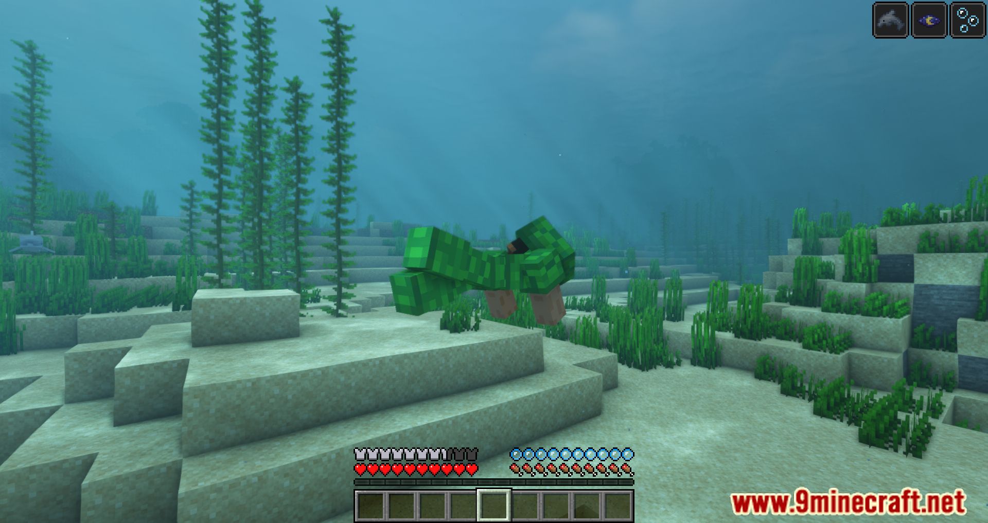 Full Turtle Armor Mod (1.21.4, 1.20.1) - New Armor With Underwater ...