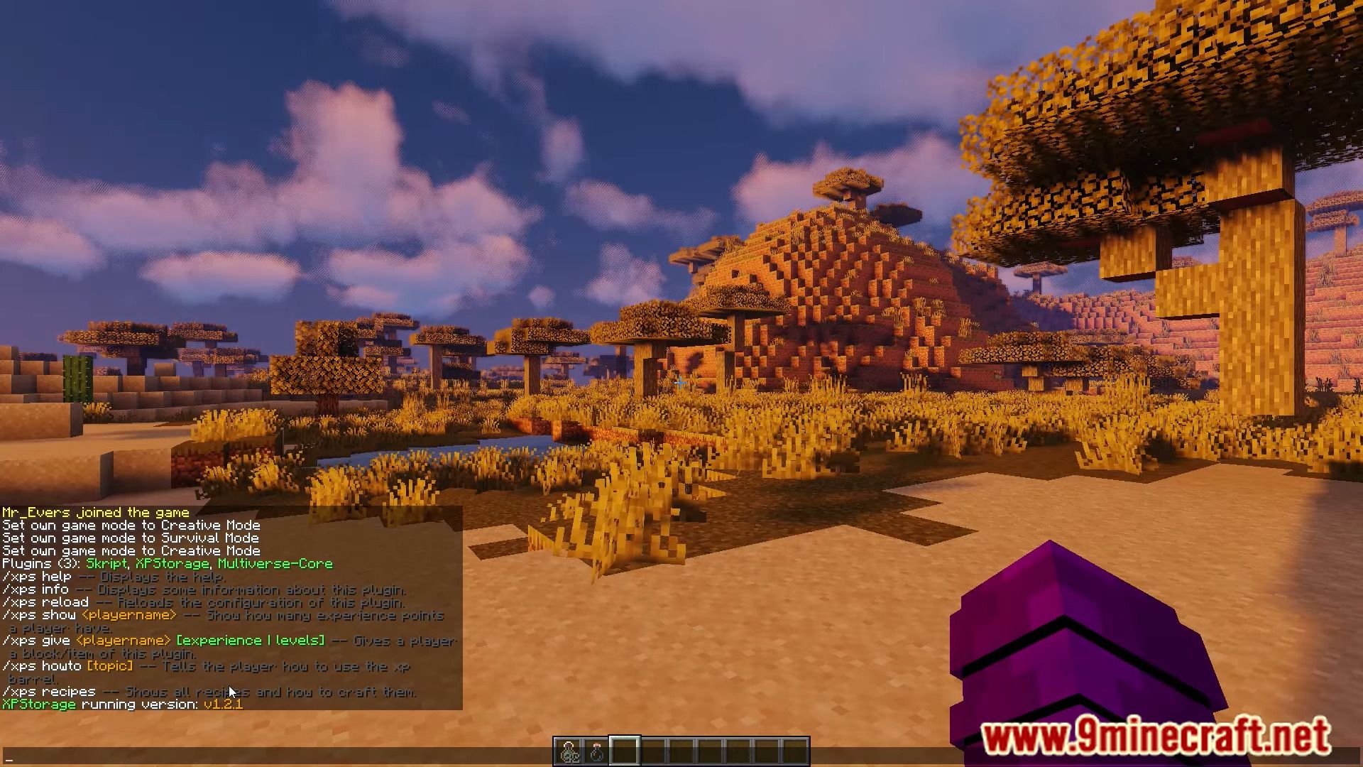 Xp-Storage Plugin (1.19.1, 1.18.2) – Bukkit, Spigot, Paper 30 1738663992 84 xp storage plugin 1191 1182 – bukkit spigot paper