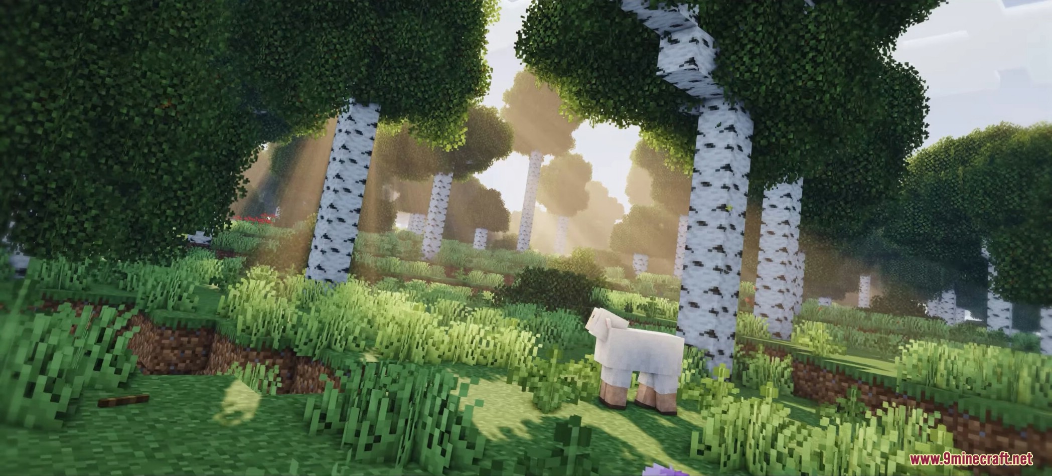 1740773542 185 woodlands extra mod 1201 overhauled biomes