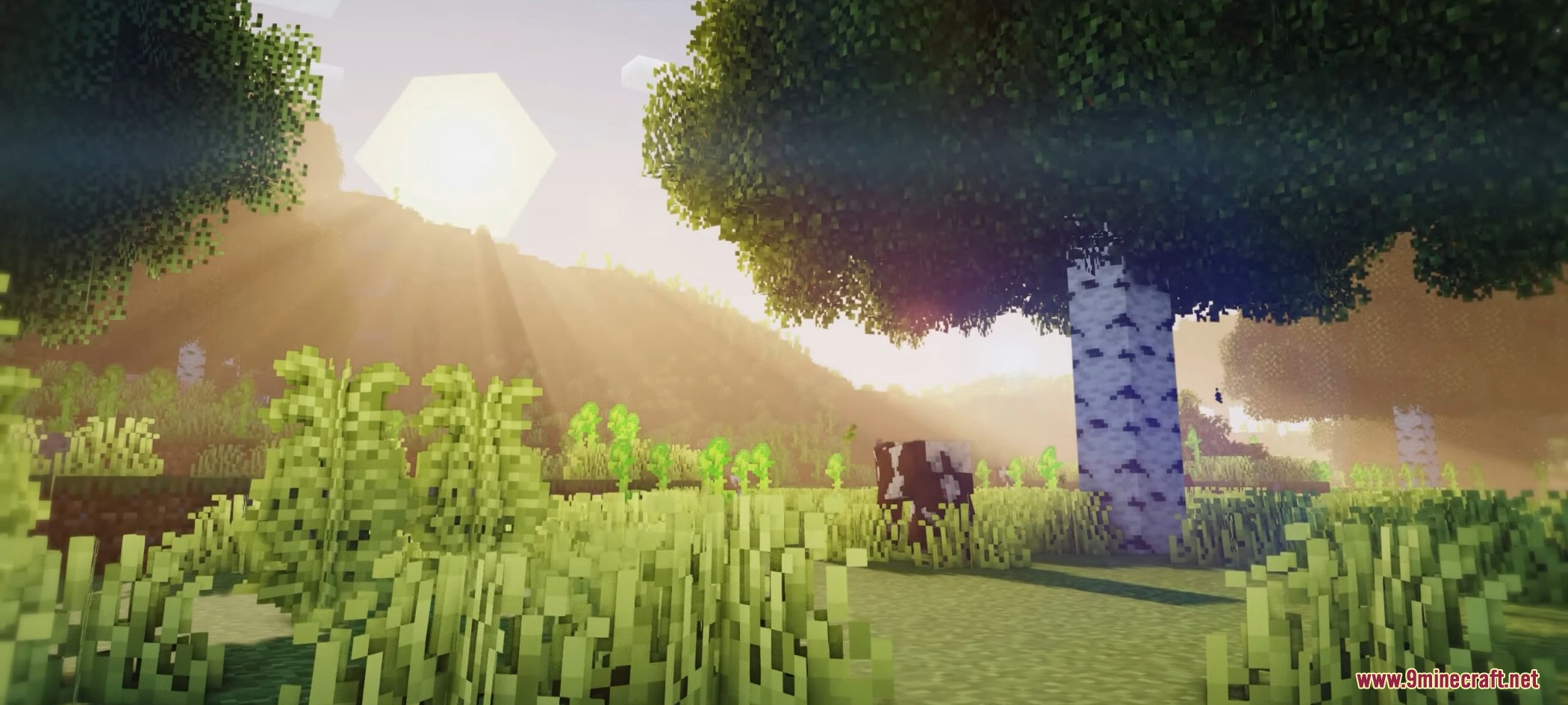 1740773546 816 woodlands extra mod 1201 overhauled biomes