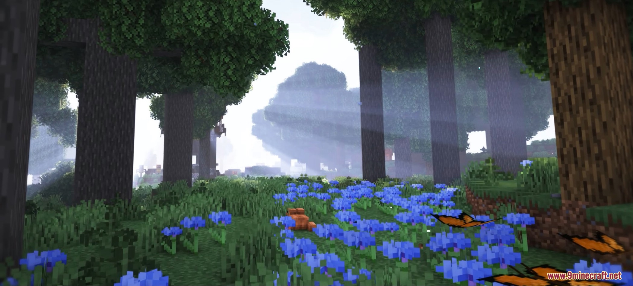 1740773547 800 woodlands extra mod 1201 overhauled biomes