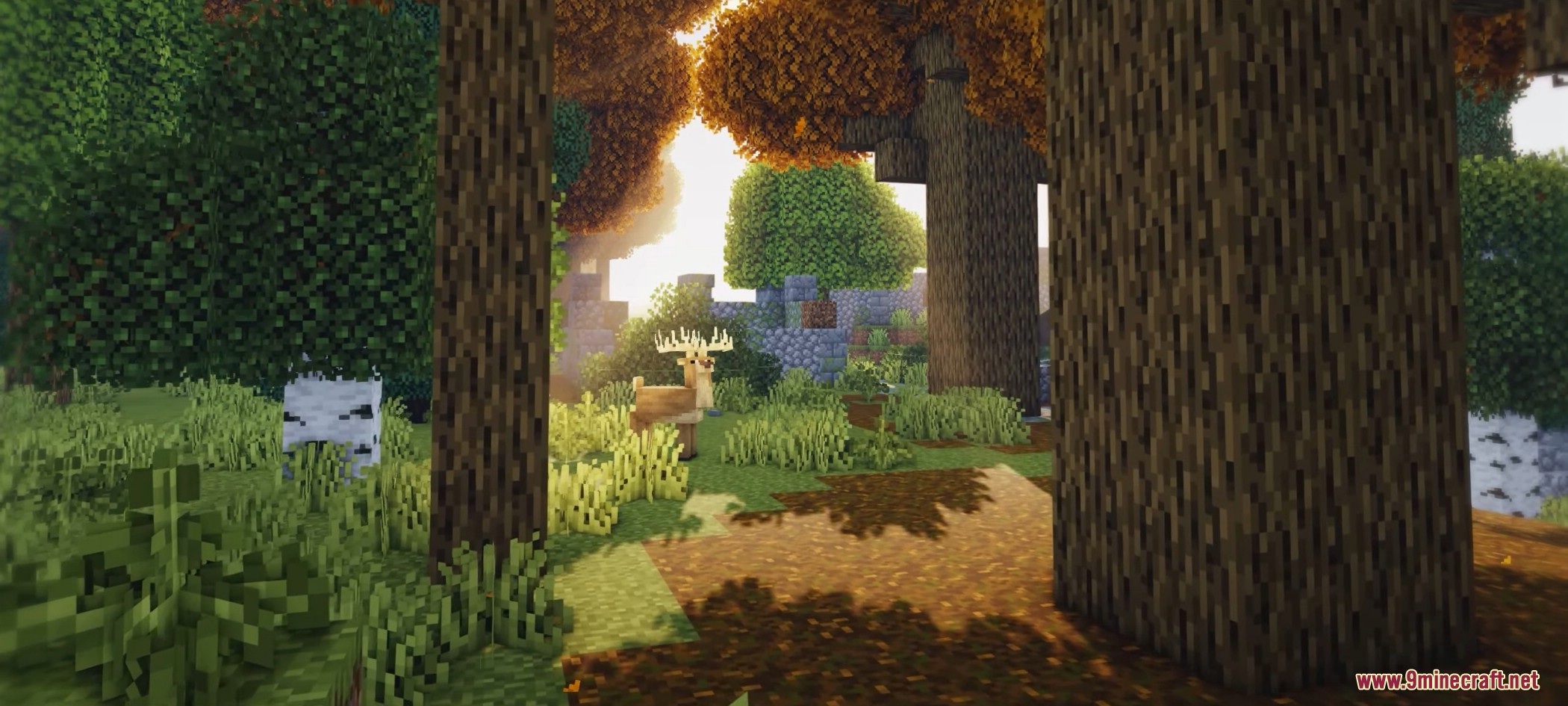 1740773548 802 woodlands extra mod 1201 overhauled biomes