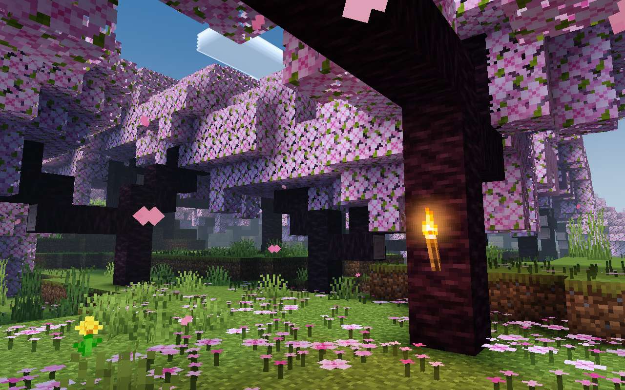 Newb X Plus Shader (1.21) - Mcpe/Bedrock 72 1741259284 882 newb x plus shader 121 mcpebedrock
